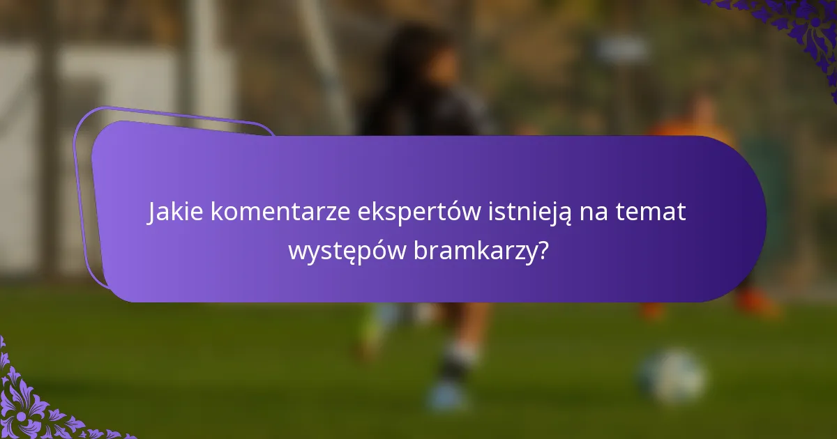 Jakie komentarze ekspertów istnieją na temat występów bramkarzy?